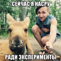 сейчас я насру ради эксперименты