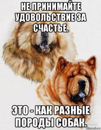 не принимайте удовольствие за счастье. это - как разные породы собак.
