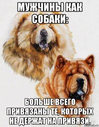мужчины как собаки: больше всего привязаны те, которых не держат на привязи.