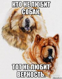 кто не любит собак, тот не любит верность.
