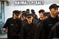 animals planet 