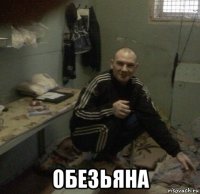  обезьяна