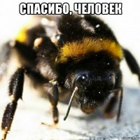 спасибо, человек 