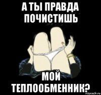 а ты правда почистишь мой теплообменник?