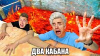  два кабана