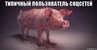 типичный пользователь соцсетей 