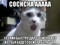 сосиска ааааа хозяин быстро дал сосиску а то из тебя будет сосиска большая