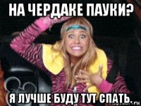 на чердаке пауки? я лучше буду тут спать.