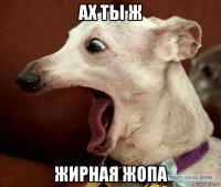 ах ты ж жирная жопа