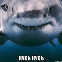  кусь кусь
