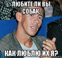 любите ли вы собак, как люблю их я?
