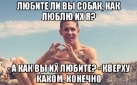 любите ли вы собак, как люблю их я? - а как вы их любите? - кверху каком, конечно