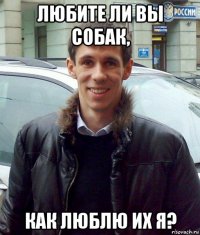 любите ли вы собак, как люблю их я?