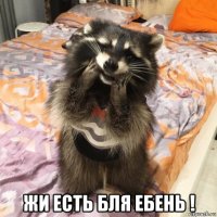  жи есть бля ебень !