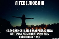 я тебе люблю солодких снів, моя найпрекрасніша квіточка, моє миляточко, моє наймиліше чудо