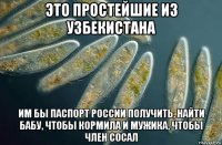 это простейшие из узбекистана им бы паспорт россии получить, найти бабу, чтобы кормила и мужика, чтобы член сосал