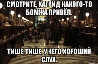 смотрите, хагрид какого-то бомжа привёл. тише, тише, у него хороший слух.