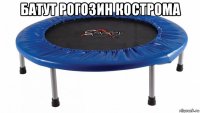 батут рогозин кострома 