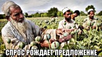  спрос рождает предложение