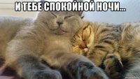 и тебе спокойной ночи... 