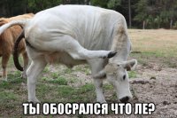  ты обосрался что ле?