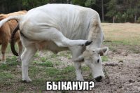  быканул?