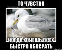 то чувство когда хочешь всех быстро обосрать