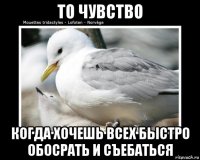 то чувство когда хочешь всех быстро обосрать и съебаться