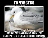 то чувство когда хочешь всех быстро обосрать и съебаться по тихому