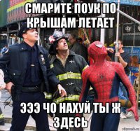 смарите поук по крышам летает эээ чо нахуй ты ж здесь