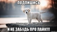 подпишись и не забудь про лайк!!!