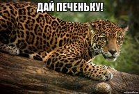 дай печеньку! 