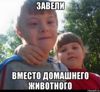 завели вместо домашнего животного