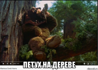  петух на дереве