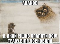 аваков я, який рішив спалити всю траву біля чорнобиля
