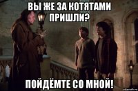 вы же за котятами пришли? пойдёмте со мной!