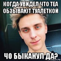 когда увидел что теа обзывают туалеткой чо быканул да?