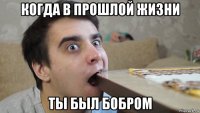 когда в прошлой жизни ты был бобром