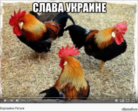 слава украине 