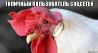 типичный пользователь соцсетей 