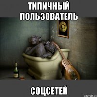 типичный пользователь соцсетей