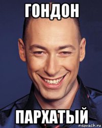 гондон пархатый
