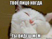 твое лицо когда ты видеш мем