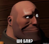  шо бля?