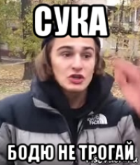сука бодю не трогай