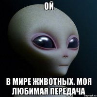 ой в мире животных. моя любимая передача