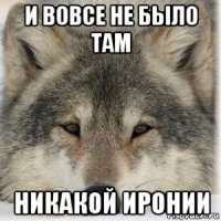 и вовсе не было там никакой иронии