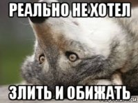 реально не хотел злить и обижать