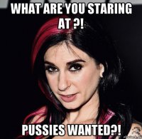 what are you staring at ?! pussies wanted?!