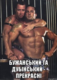  бужанський та дубінський - прекрасні